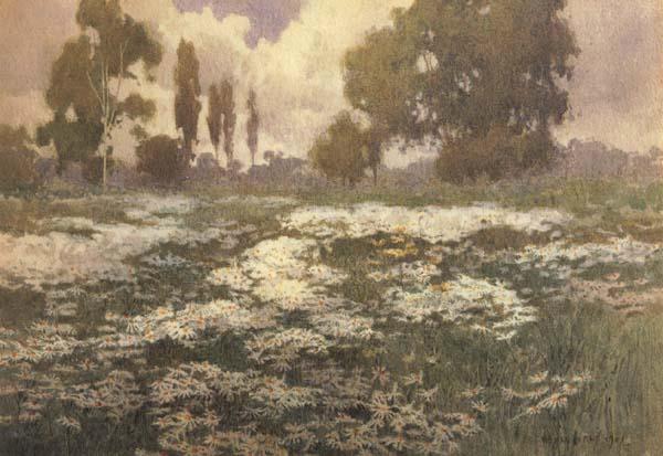 unknow artist Field of Daisies Norge oil painting art